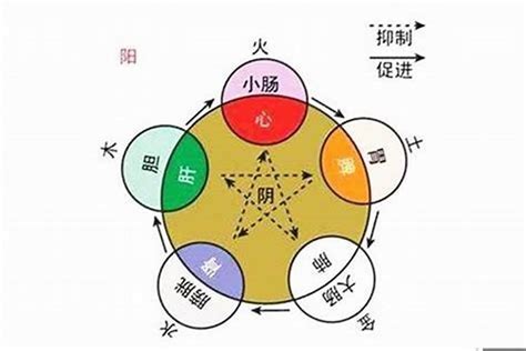 月字 五行|月的五行属什么,月字的五行属性,月的寓意